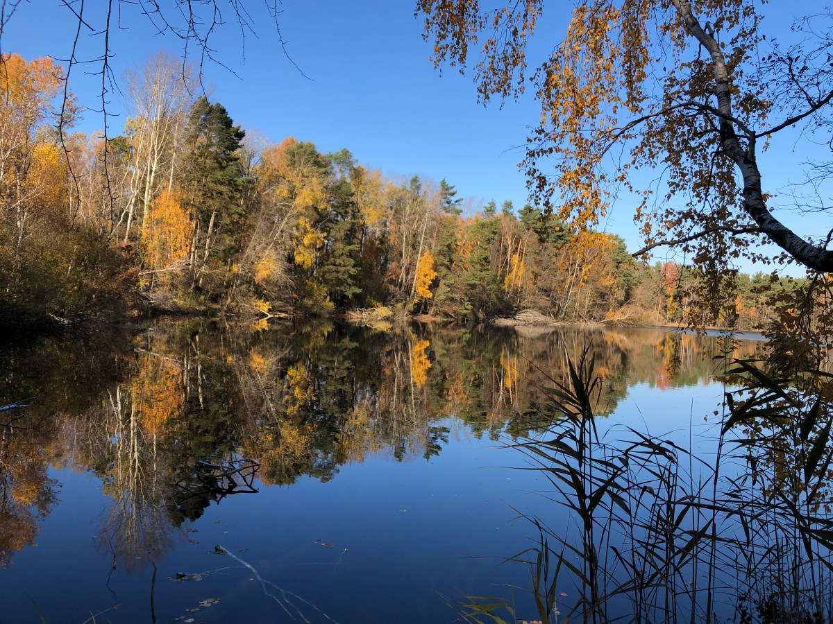 Tongrubensee in Bestensee  Bewegte Frauen